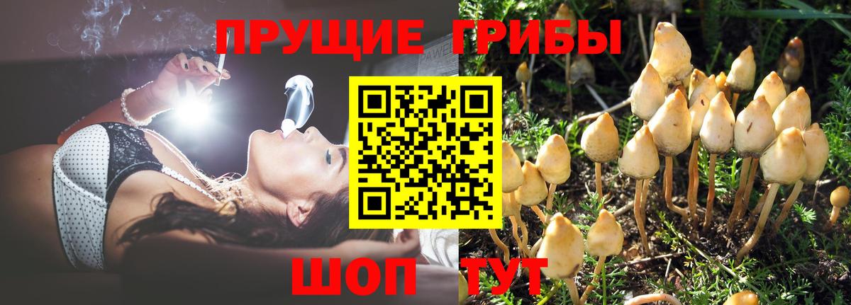 Псилоцибиновые грибы Magic Shrooms  Вход с VPN  Пенза 